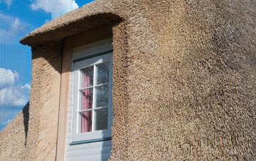 Kintillo thatch roof disadvantages